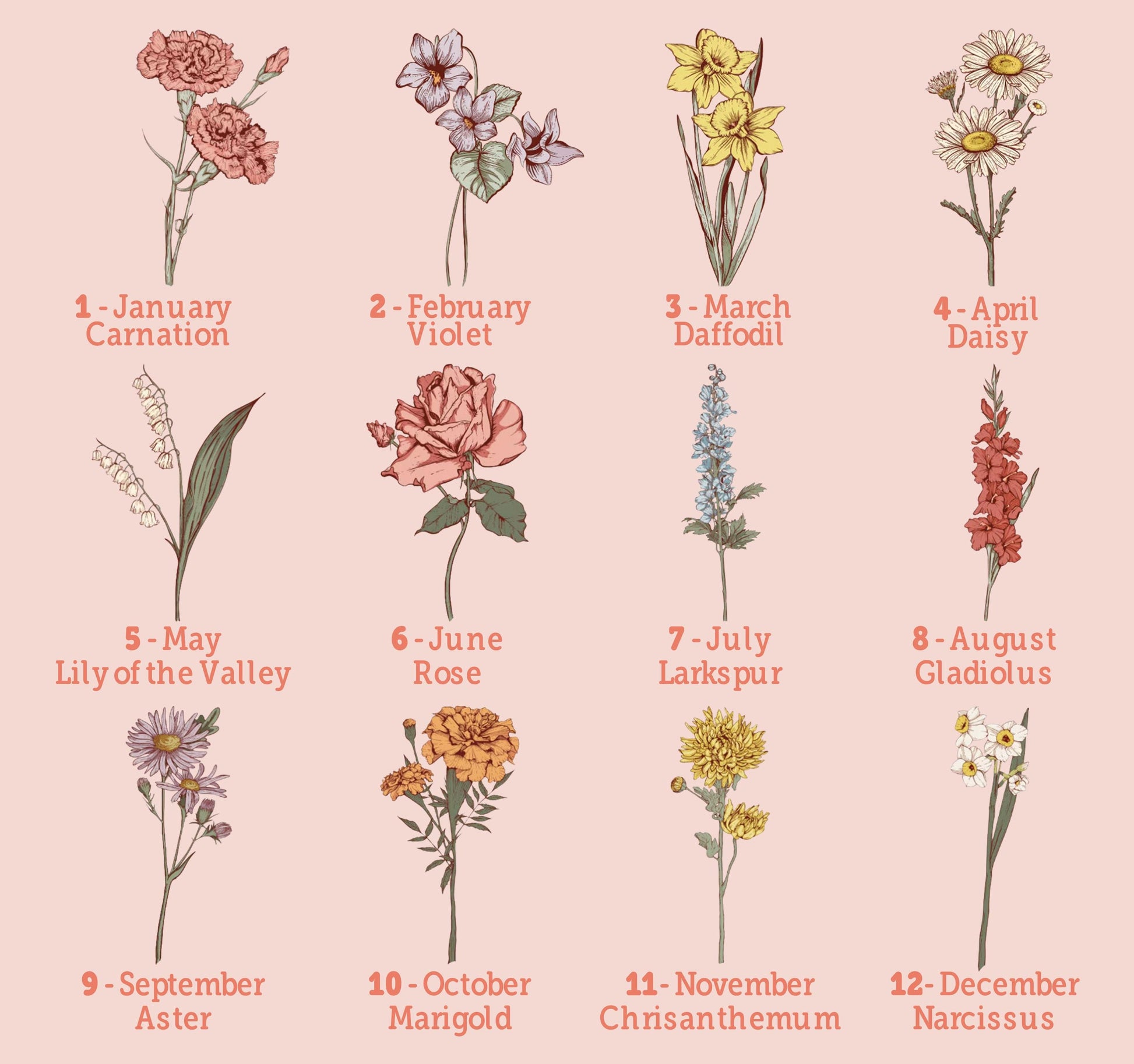 a bunch of flowers that are on a pink background