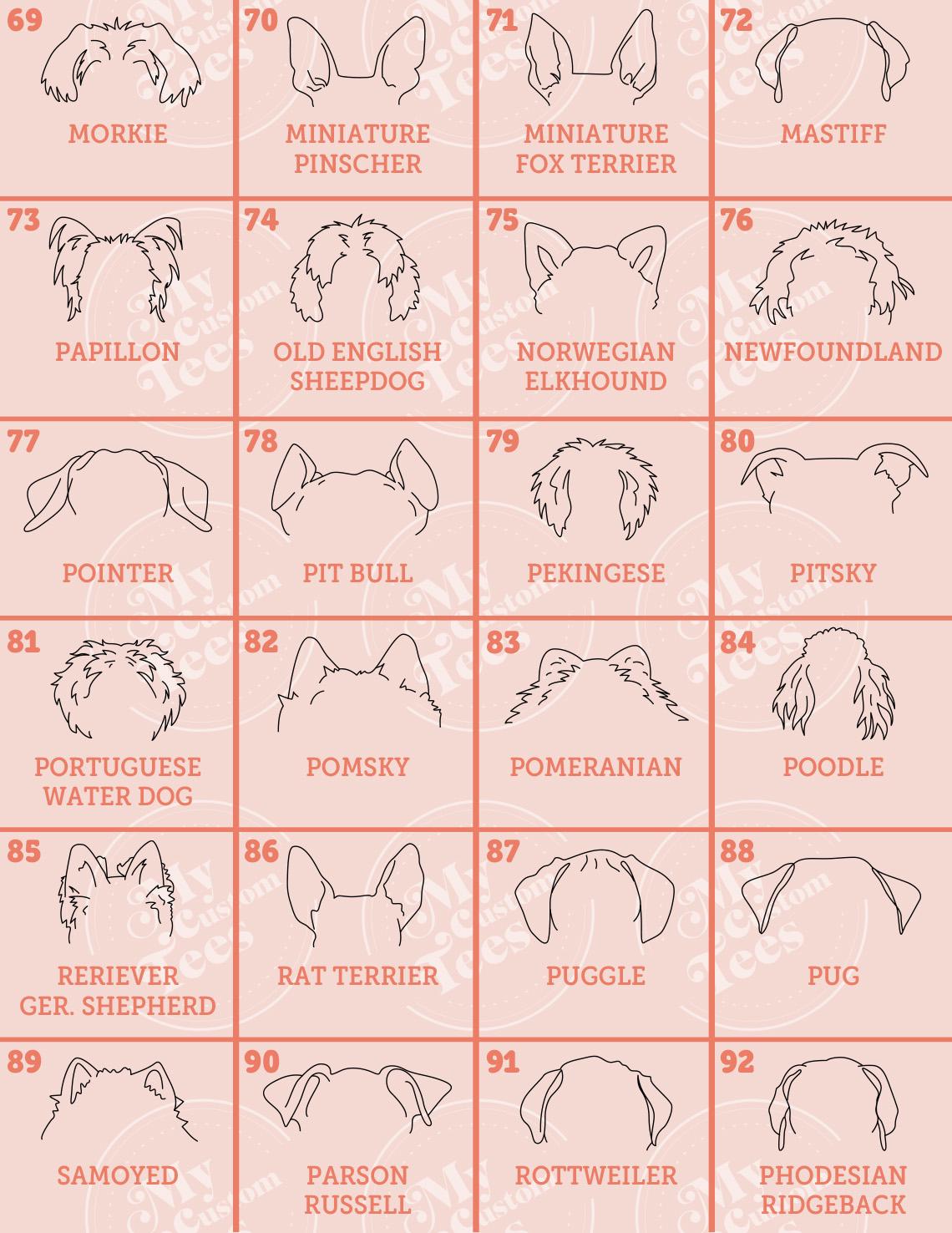 how to draw a horse's head with a pencil