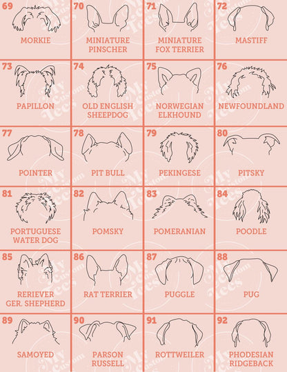 how to draw a horse's head with a pencil