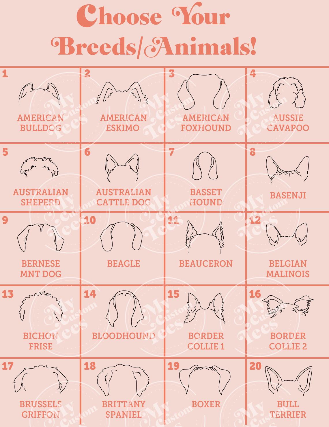 a poster showing how to choose the right breed for your dog